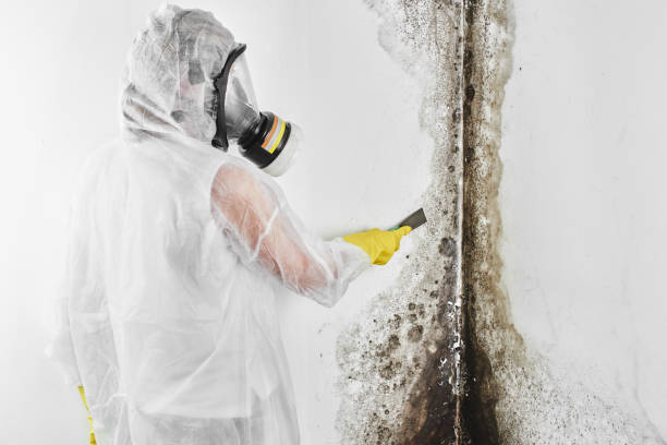Crawl Space Mold Removal in Keno, OR