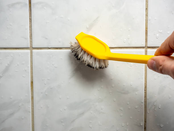 Best Affordable Mold Removal  in Keno, OR