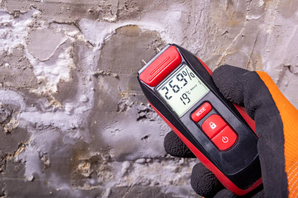 Best Certified Mold Removal  in Keno, OR