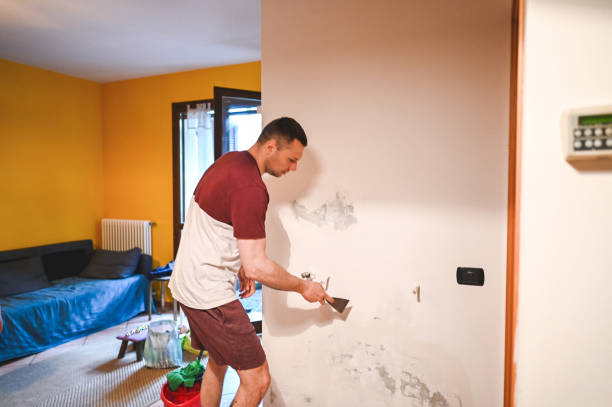 Best Emergency Mold Removal  in Keno, OR
