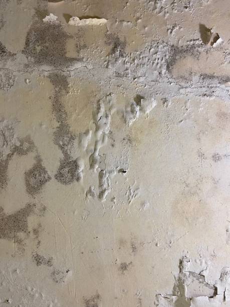 Water Damage Restoration in Keno, OR